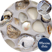 8099-P12 - Beach Mix Shells - Bargain Box